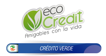 WEB Eco Credit