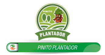 PINITO PLANTADOR