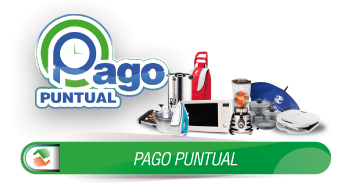 PAGO PUNTUAL
